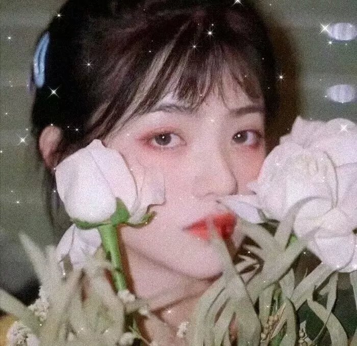 巴里公主2024